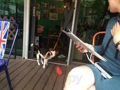 카페 몽상가들