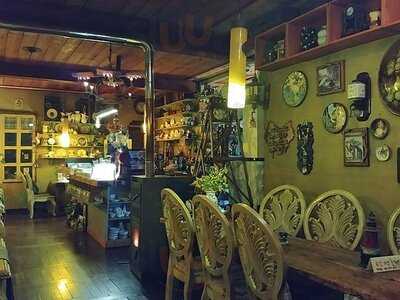 죠셉의커피나무