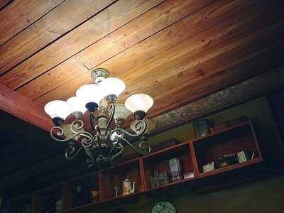 죠셉의커피나무