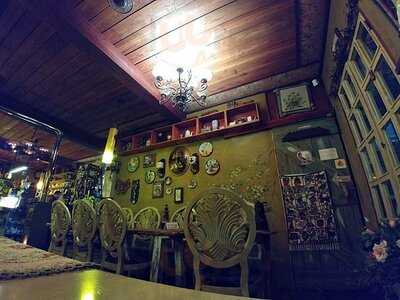 죠셉의커피나무