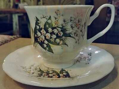 죠셉의커피나무