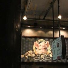 꽃돼지갤러리 연신내점