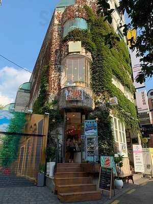 투사이즈 코리아