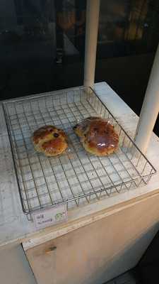 시냇가에심은나무