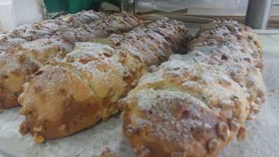 시냇가에심은나무