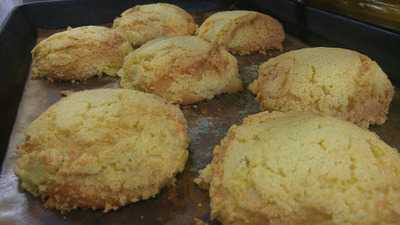 시냇가에심은나무