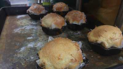 시냇가에심은나무