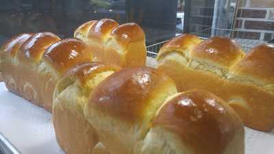 시냇가에심은나무