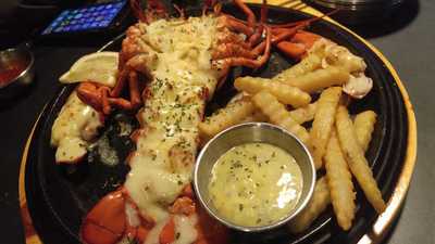 코스모스노래연습장