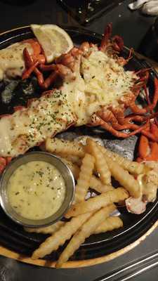 코스모스노래연습장