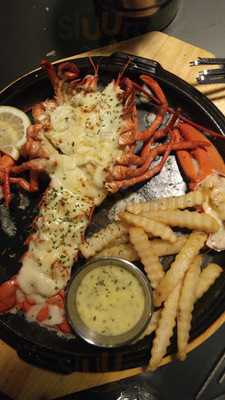 코스모스노래연습장