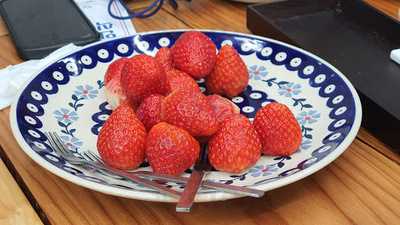 의성춘산오가피집