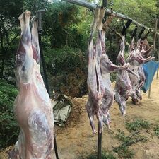 아라베스크 이태원점