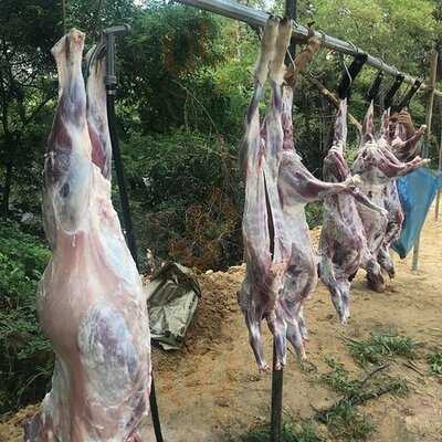 아라베스크 이태원점