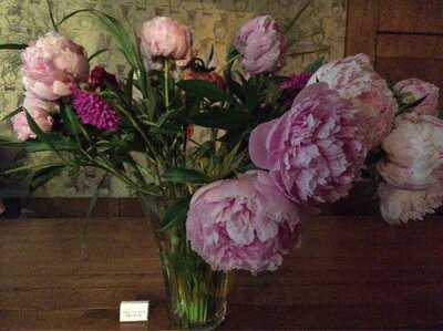 헬카페로스터즈