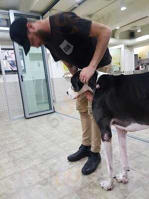 써니네 애견 카페