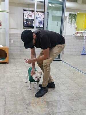 써니네 애견 카페