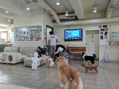 써니네 애견 카페