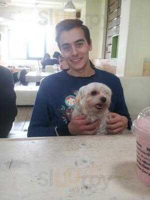 써니네 애견 카페