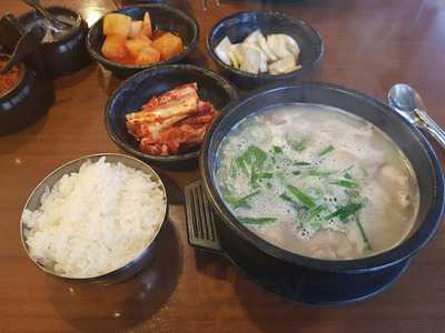 토마토도시락