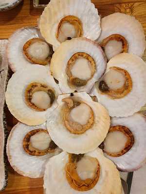 비진도해물뚝배기