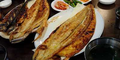 털보고된이 연신내직영점