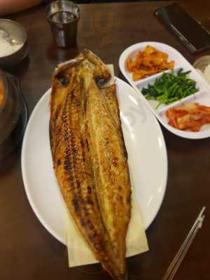 털보고된이 연신내직영점