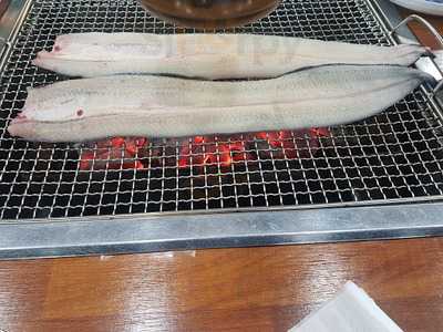 민물장어직판장 장어세상