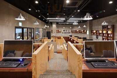 놀숲플러스 - 홍대점