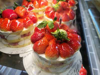 데일리호스브라운