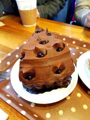 데일리호스브라운