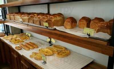 데일리호스브라운