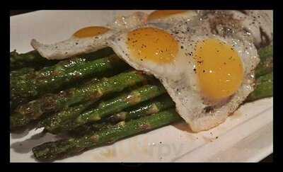 더 스프링 탭 하우스