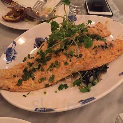 가드너 아드리아