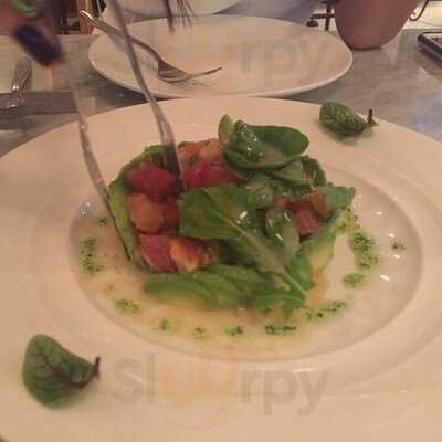 가드너 아드리아