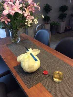 아틀리에 도수향