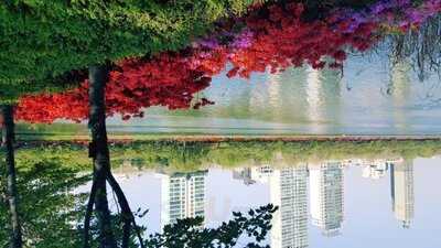 잠실 시크릿가든