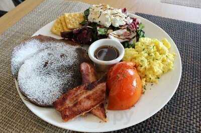 카카오독애견카페