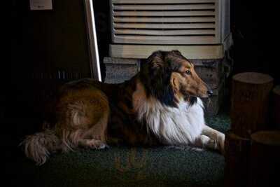 난장캠프 신사가로수점