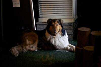 난장캠프 신사가로수점