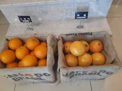 조쉬윌로우커피