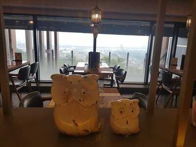 부엉이돈가스 - 남산서울타워점