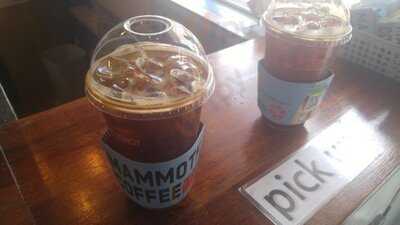 매머드커피 선릉점