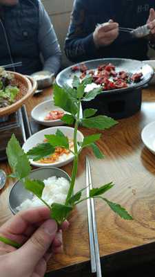 대자연생수식당