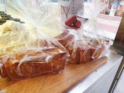 밀도 - 가로수점