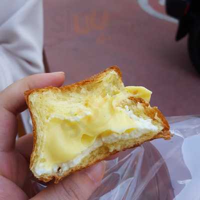 밀도 - 가로수점