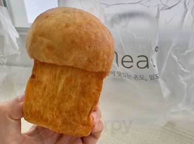 밀도 - 가로수점