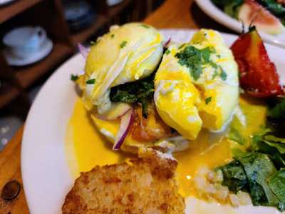 콩볶는집고양이똥