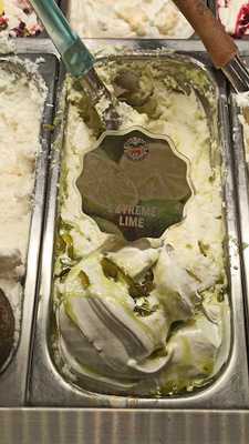 지올리띠코리아