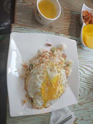 제이스플레이트